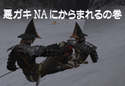 FF11　わるがきー